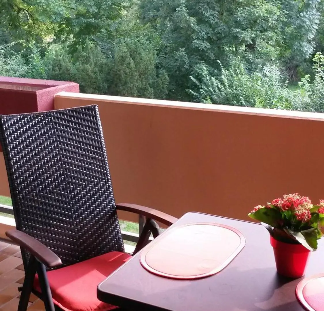 Ferienwohnung Erlenhof Bad Füssing Apartment
